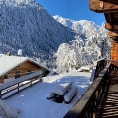 Appartement Alpin 8 Pers., 3 Ch., Jardin Privé - Fr-1-676-40 *